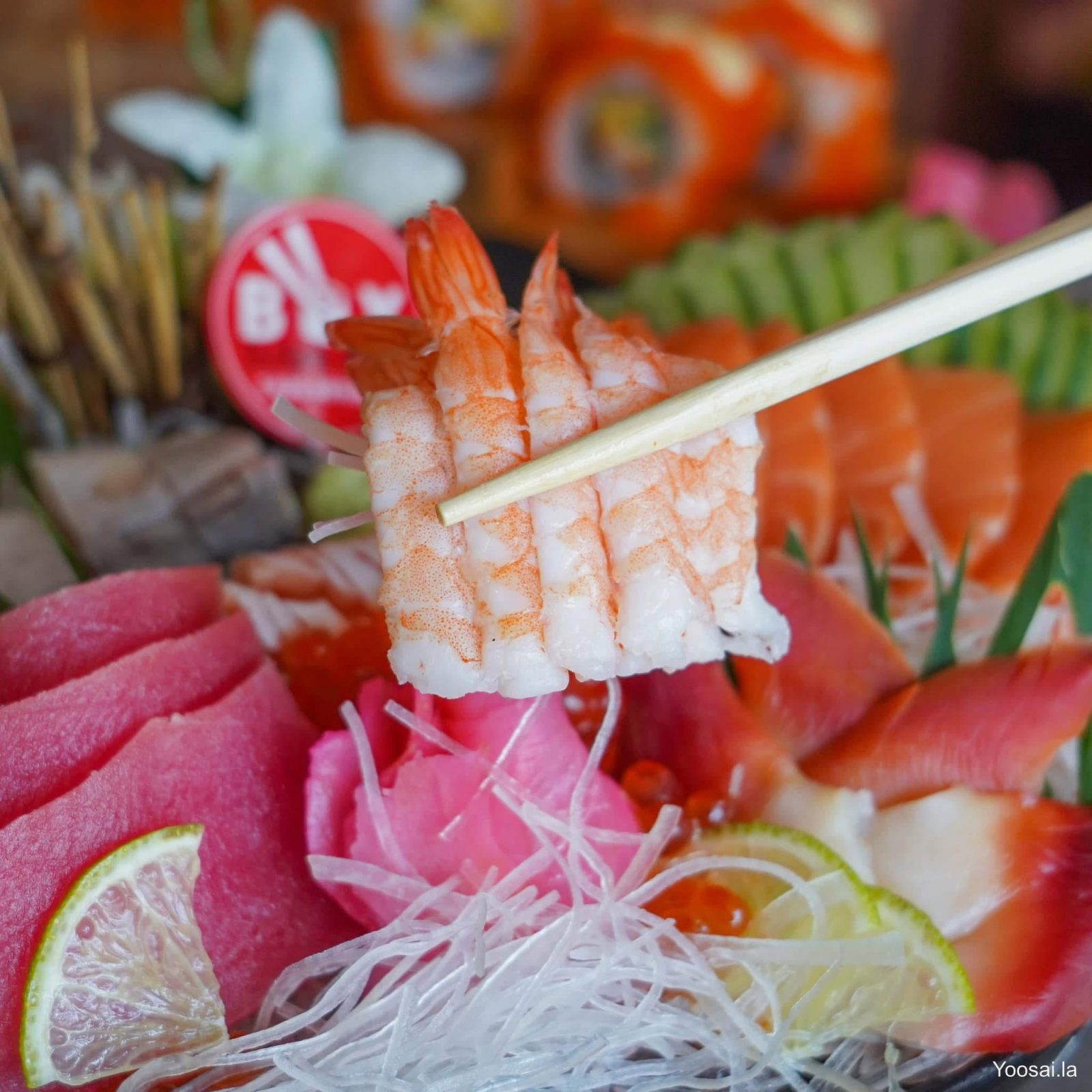 Sushi Box Phonpapao