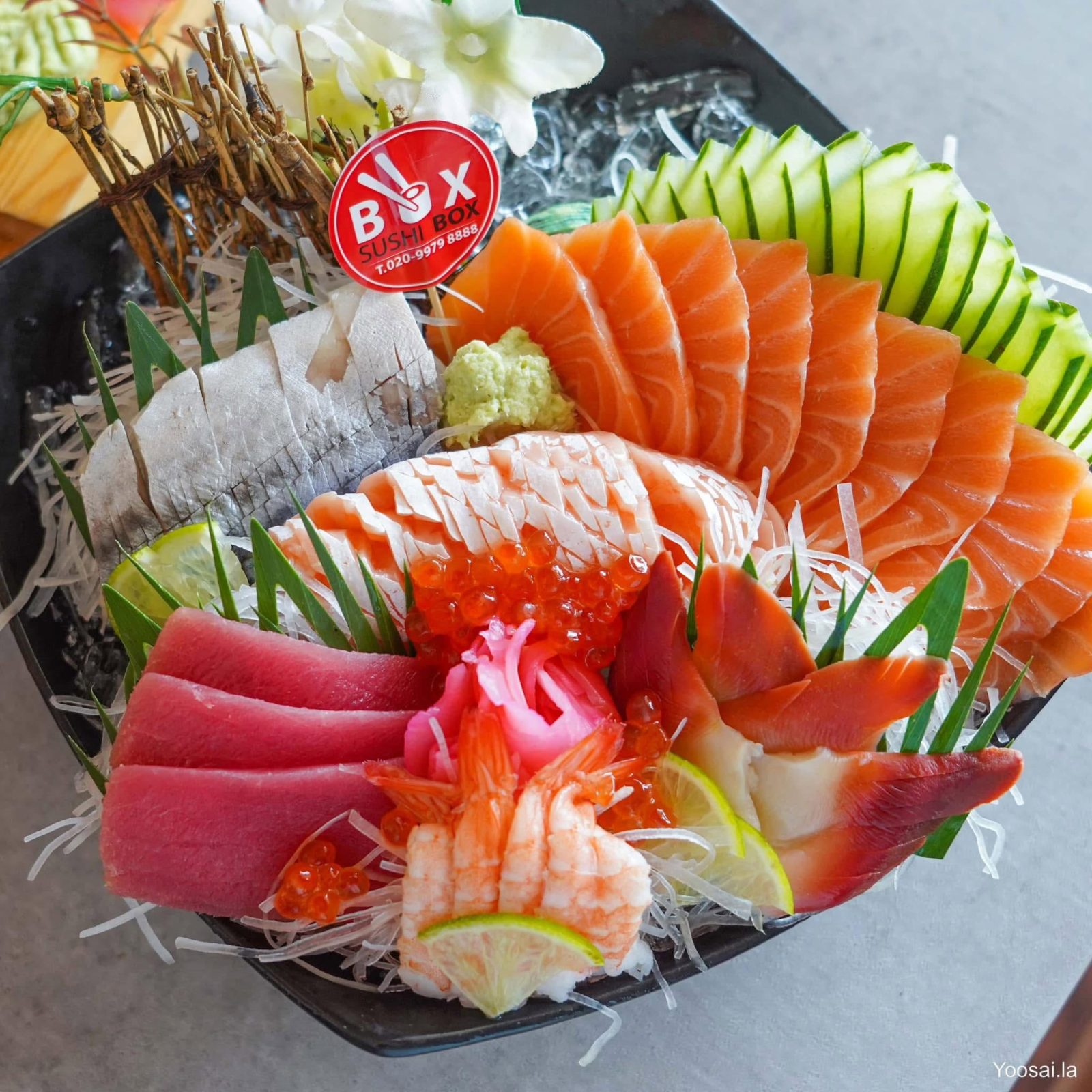 Sushi Box Phonpapao