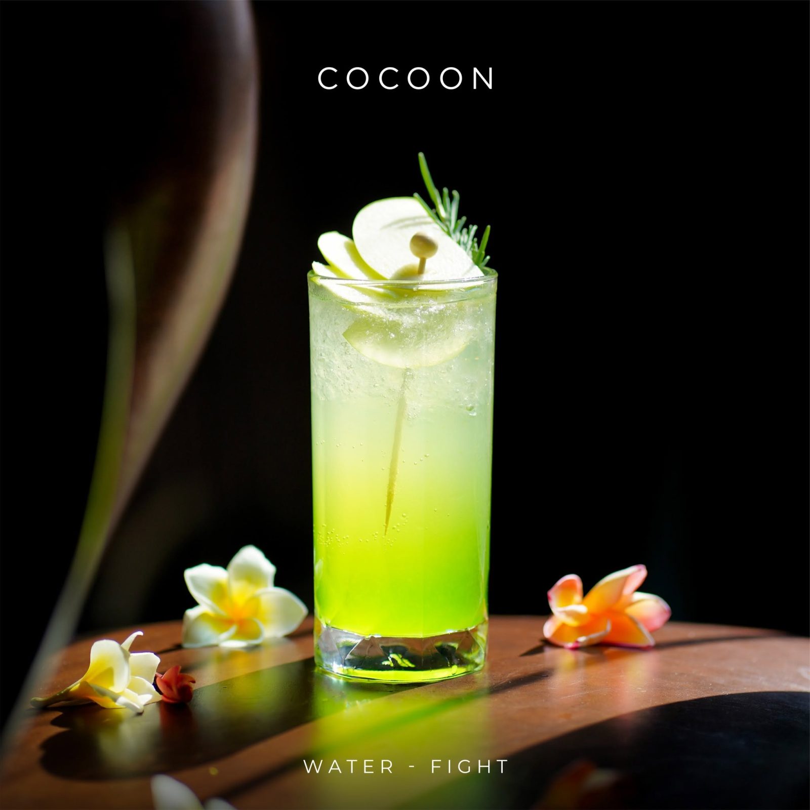 Cocoon Vientiane